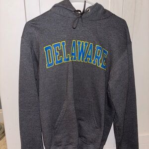 Champion University of Delaware Hoodie